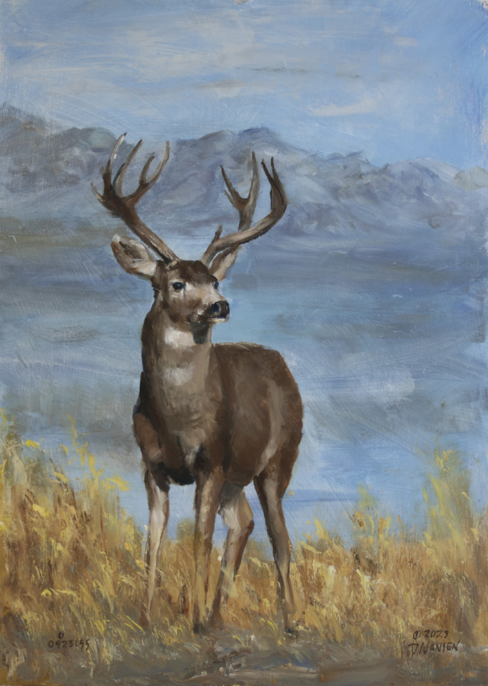 23155- 14 X 20 Inches