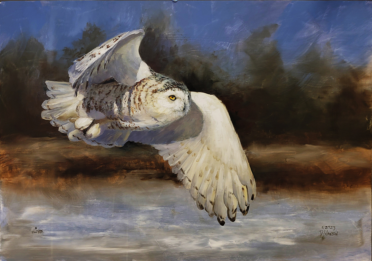 Snowy Owl in Flight